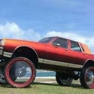 Meet your Posher, Jerry